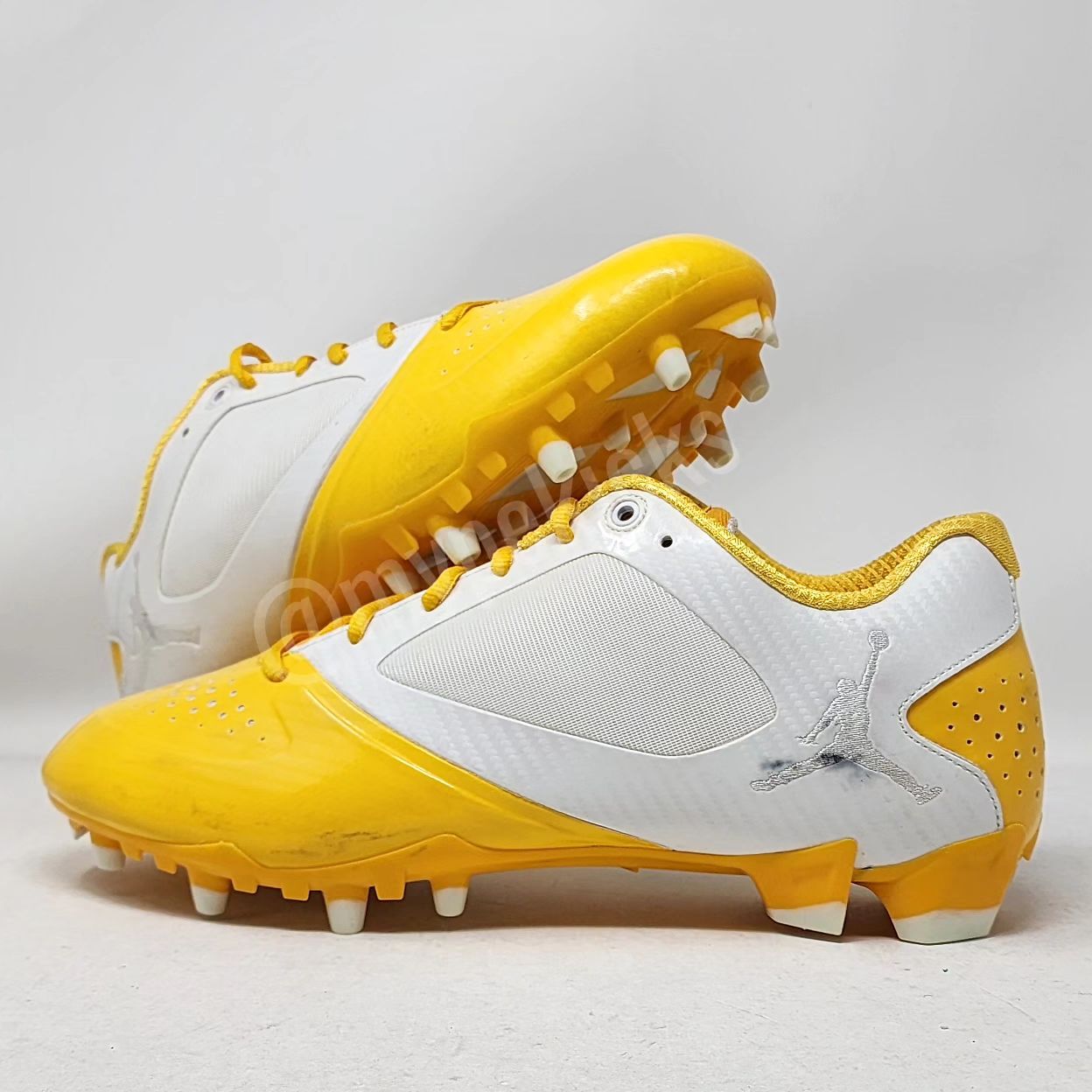 Air Jordan BCT Speed Low - Charles Woodson Green Bay Packers PE
