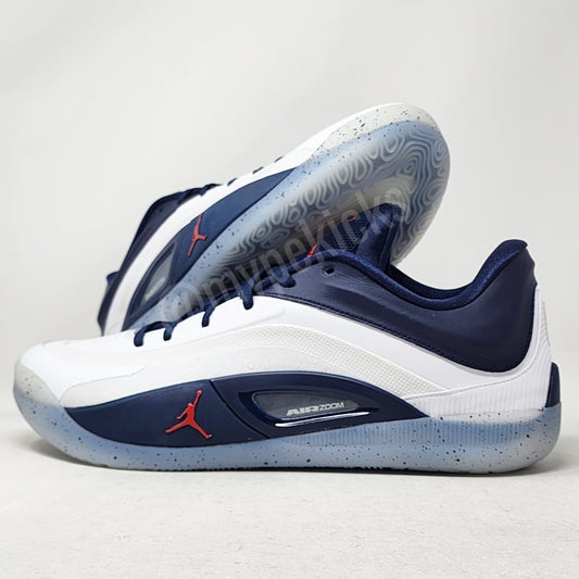 Jordan Zion 4 - Howard Bisons PE