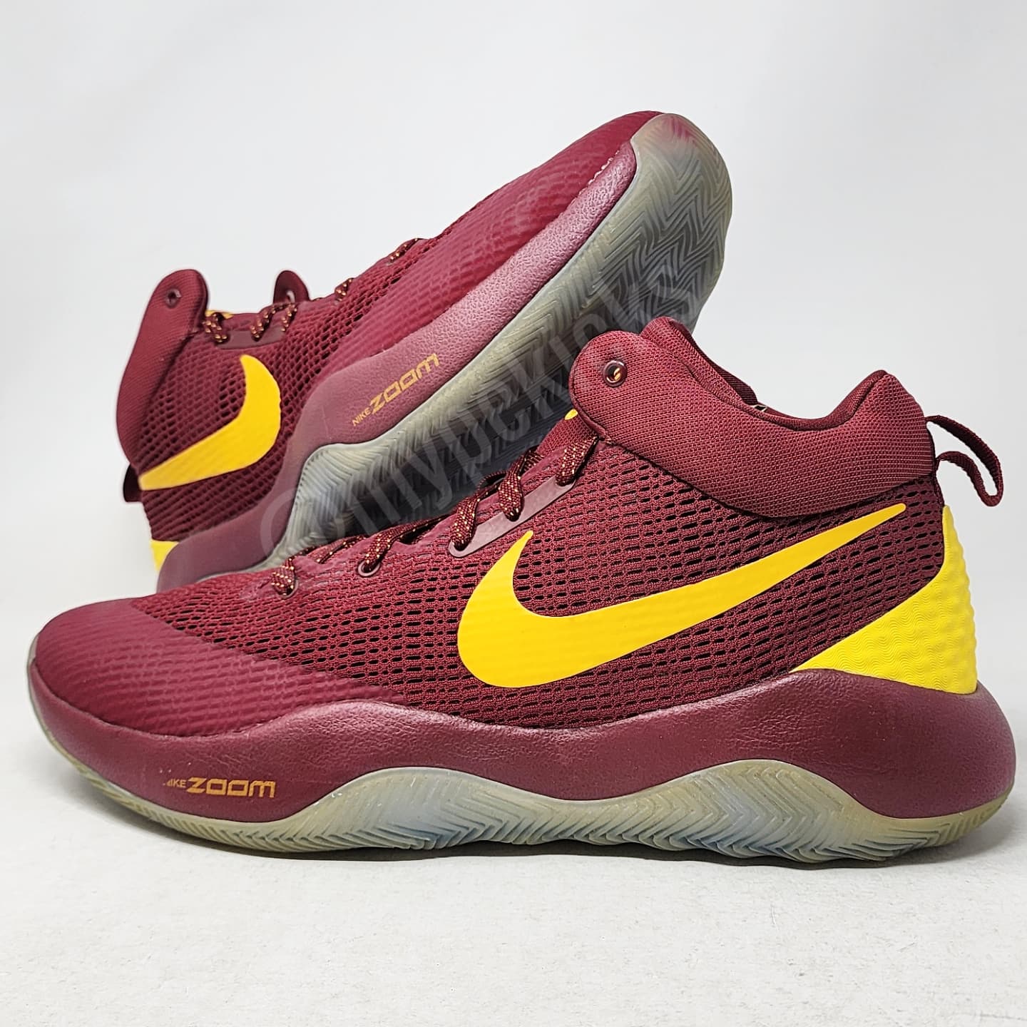 Nike Zoom Rev - Richard Jefferson Cleveland Cavaliers PE