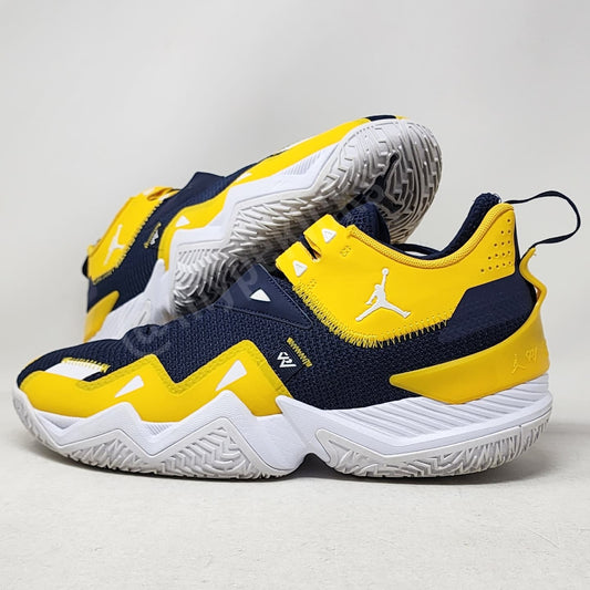 Jordan Westbrook One Take - Michigan Wolverines PE