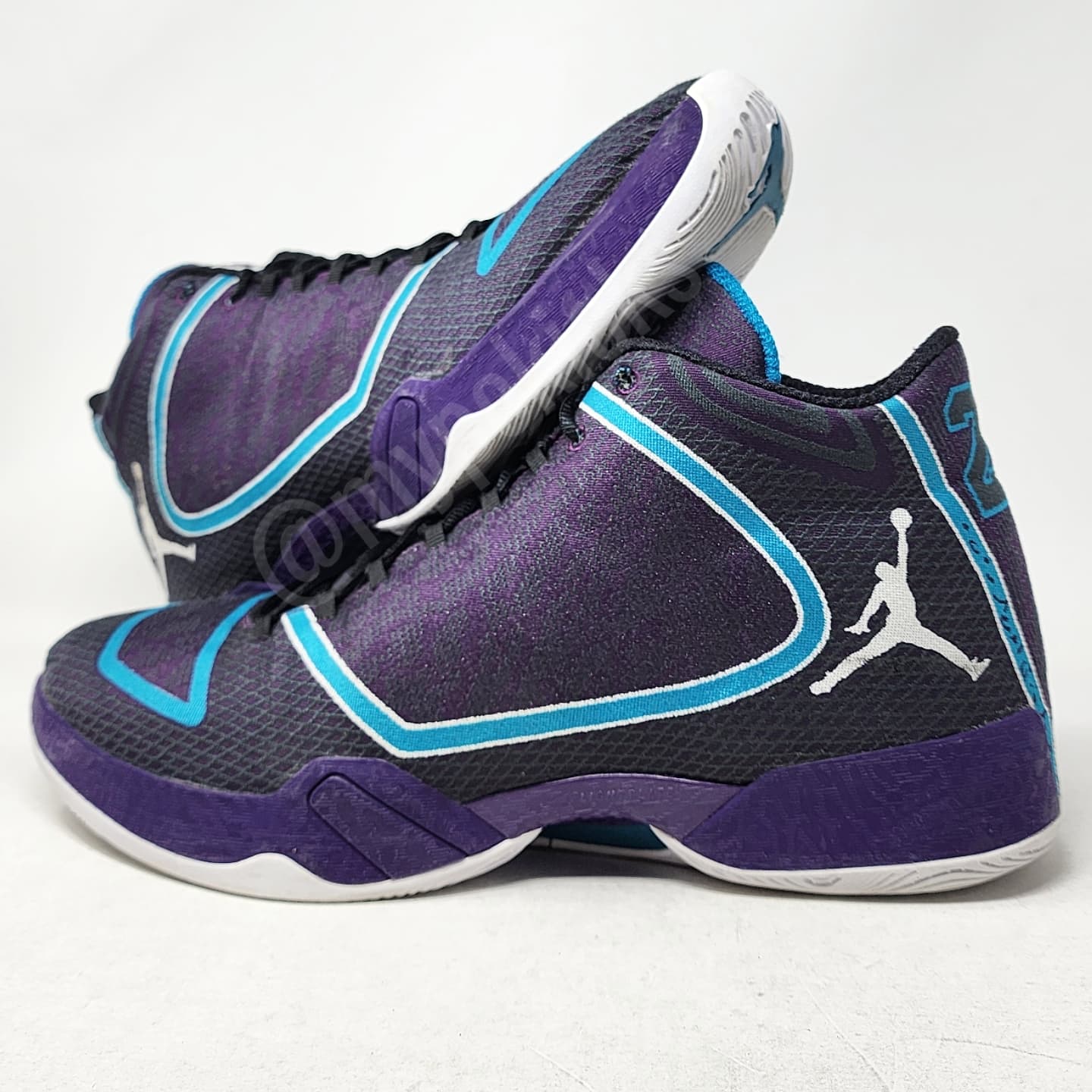 Air Jordan 29 Bismack Biyombo Charlotte Hornets PE