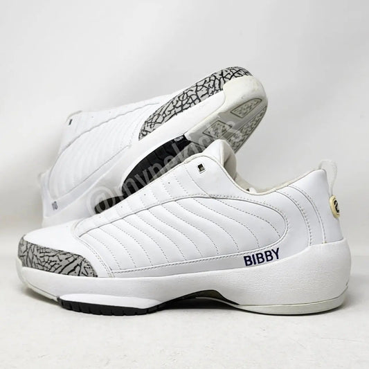 Air Jordan 19 Low - Mike Bibby Sacramento Kings PE