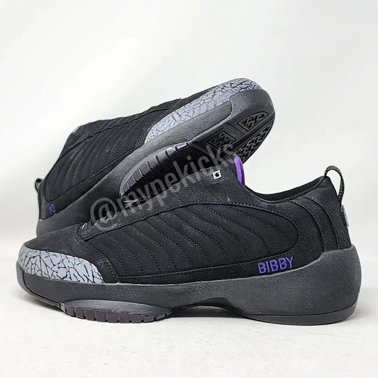 Air Jordan 19 Low - Mike Bibby Sacramento Kings PE