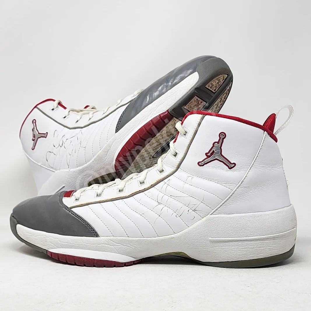 Air Jordan 19 SE - Jason Kidd New Jersey Nets PE