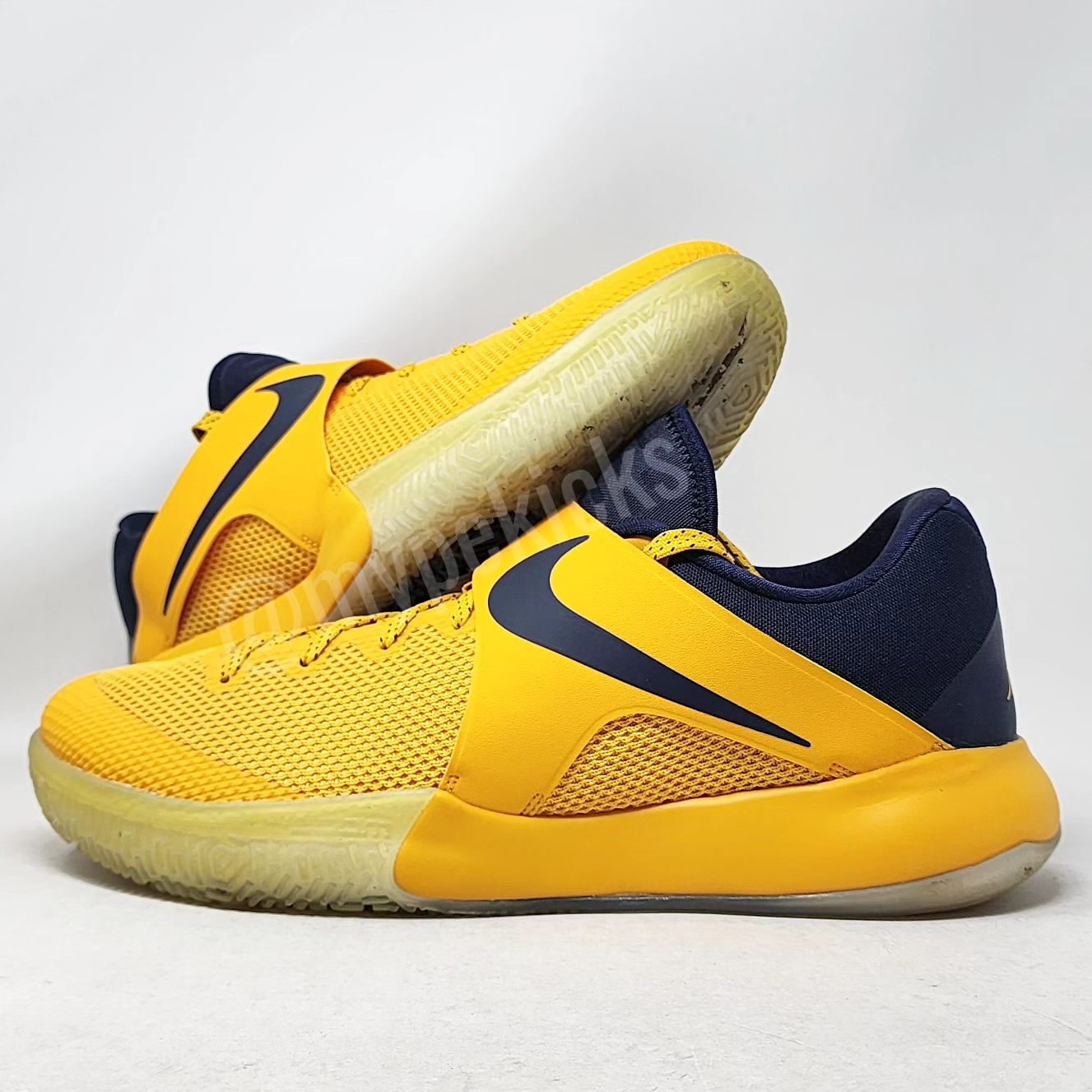 Nike Zoom Live Aaron Brooks Indiana Pacers PE