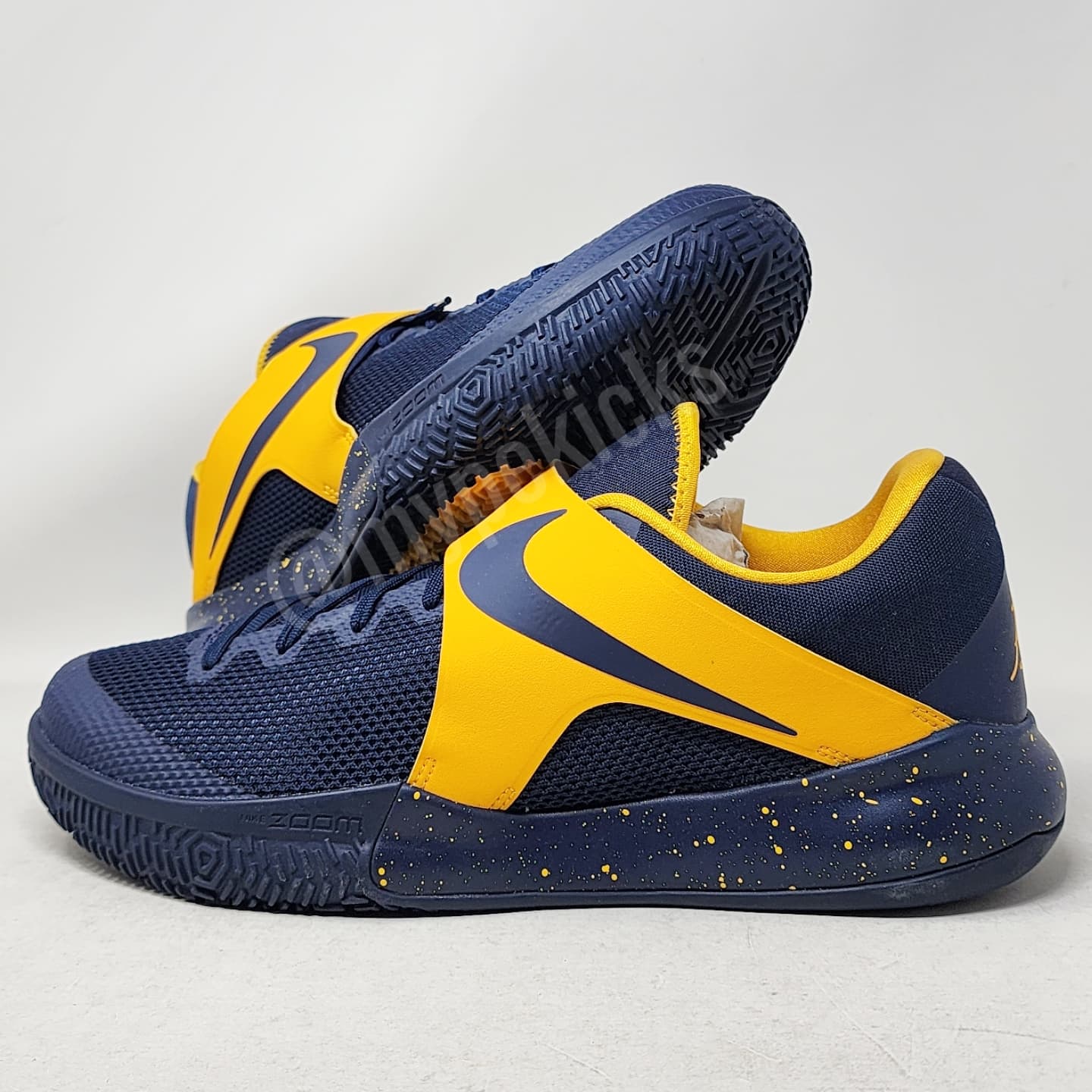 Nike Zoom Live Aaron Brooks Indiana Pacers PE