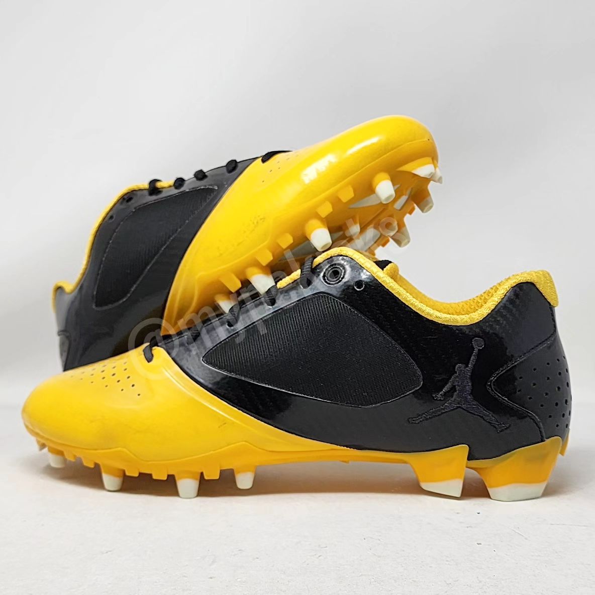 Air Jordan BCT Speed Low - Charles Woodson Green Bay Packers PE