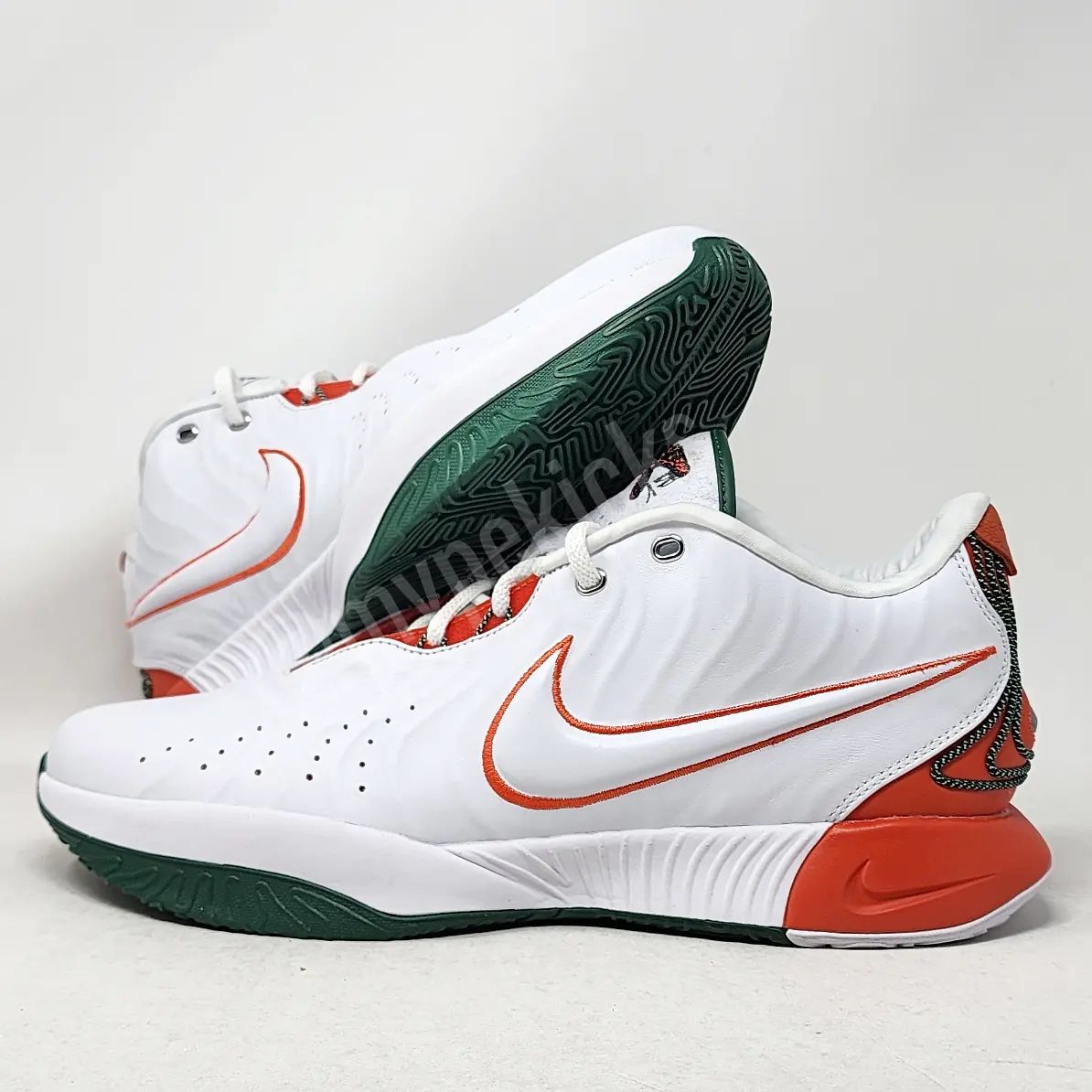Nike LeBron 21 - FAMU Rattlers PE