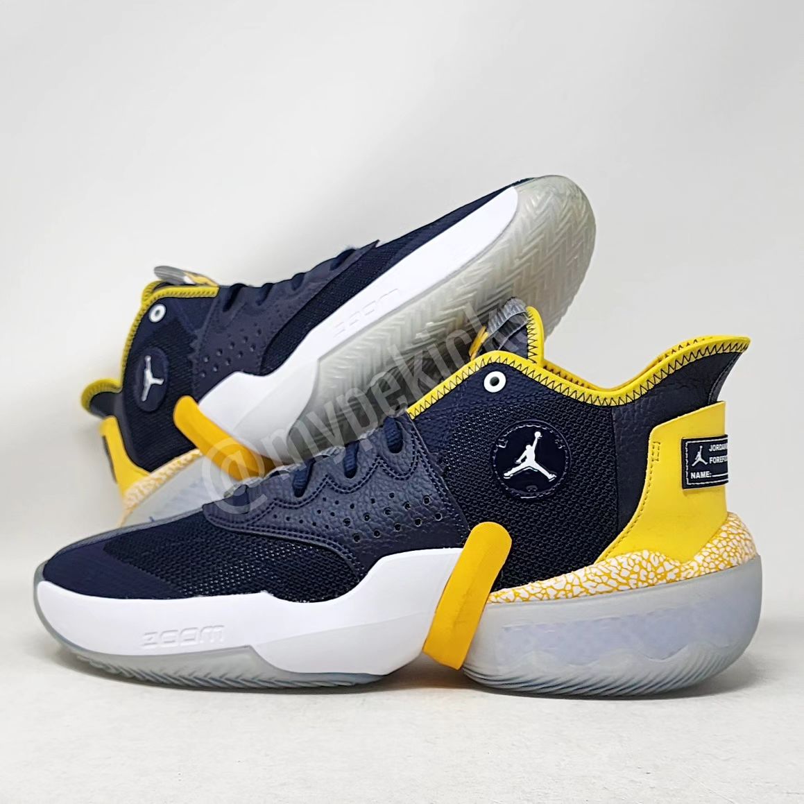 New jordan michigan shoes online