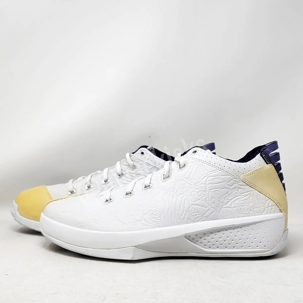 AJ 16 Retro - 康利灰熊队 PE
