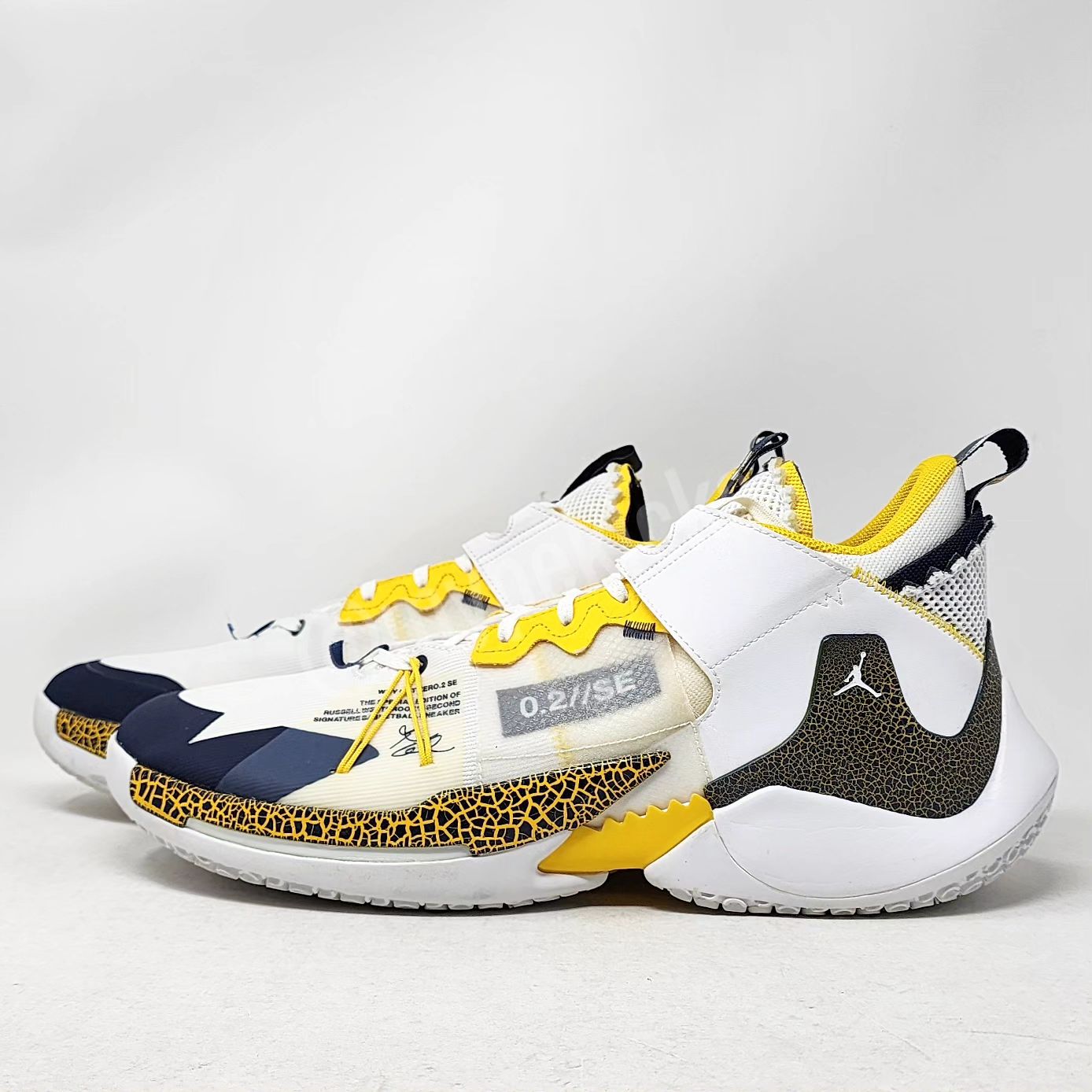 Jordan Westbrook Why Not Zer0.2 SE - Michigan Wolverines PE