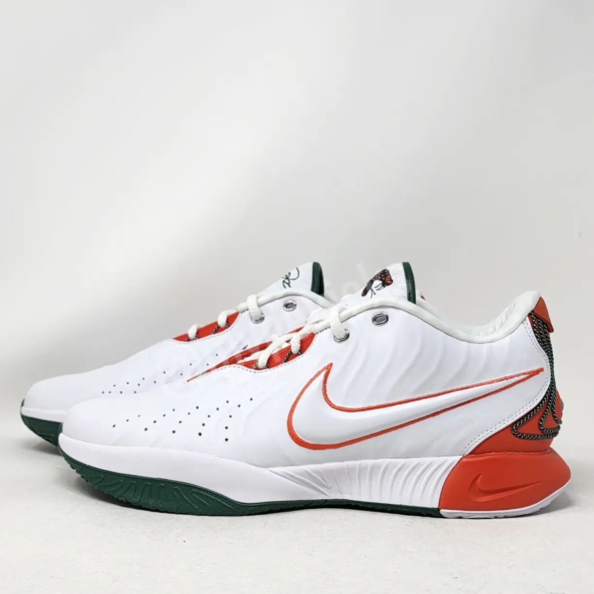 Nike LeBron 21 - FAMU Rattlers PE