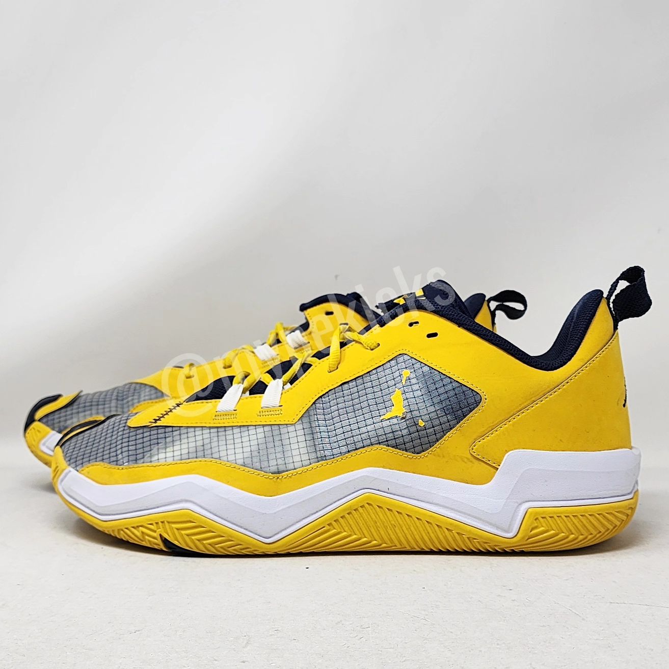 Jordan Westbrook One Take 4 - Michigan Wolverines PE