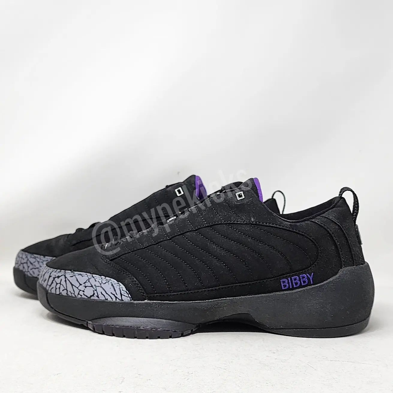 Air Jordan 19 Low - Mike Bibby Sacramento Kings PE
