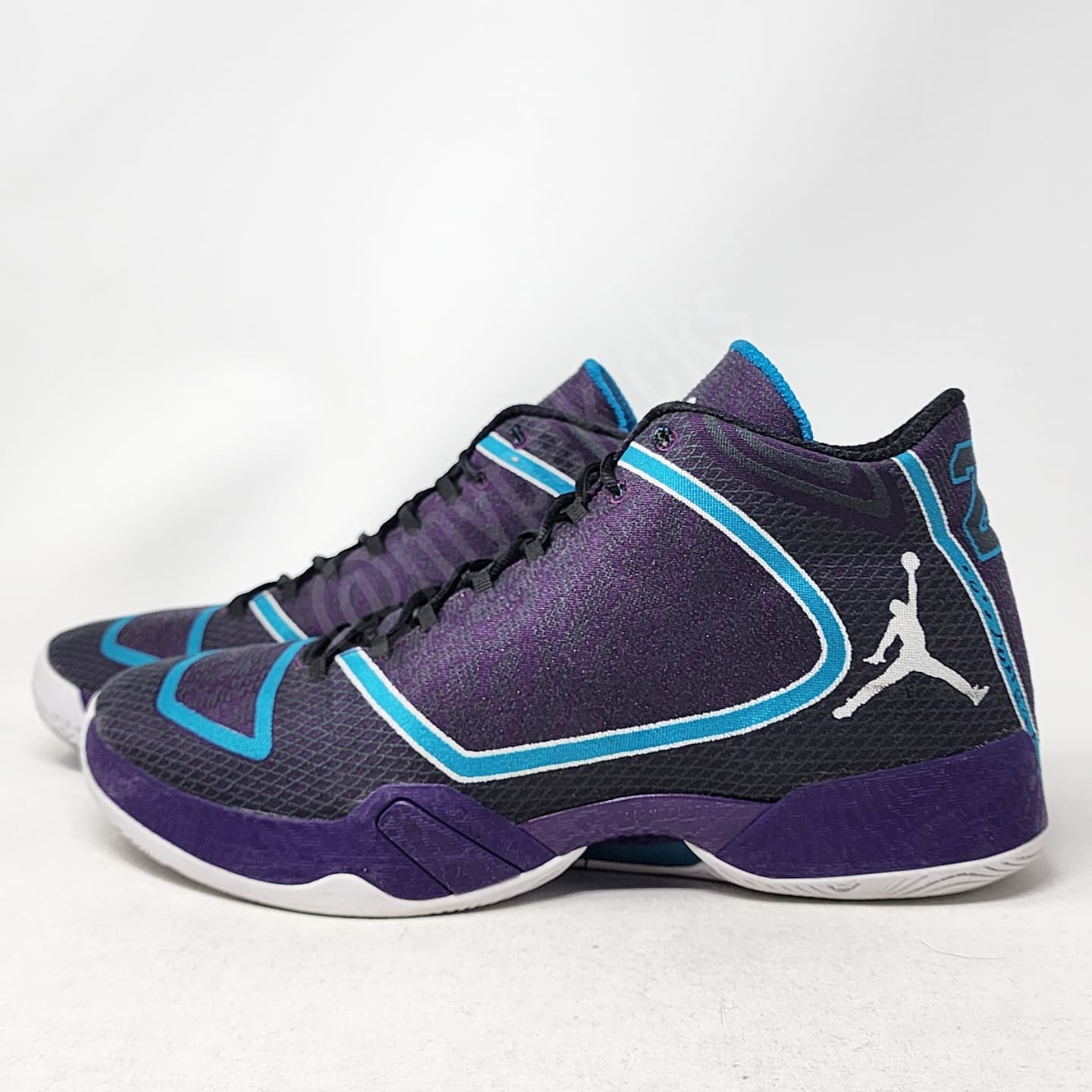 Air Jordan 29 - Bismack Biyombo Charlotte Hornets PE