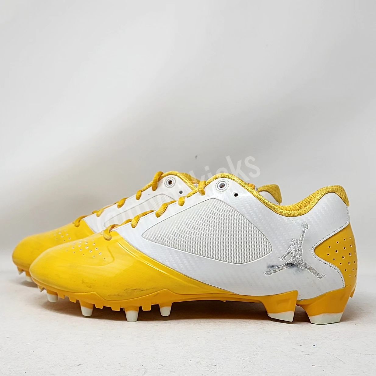 Air Jordan BCT Speed Low - Charles Woodson Green Bay Packers PE