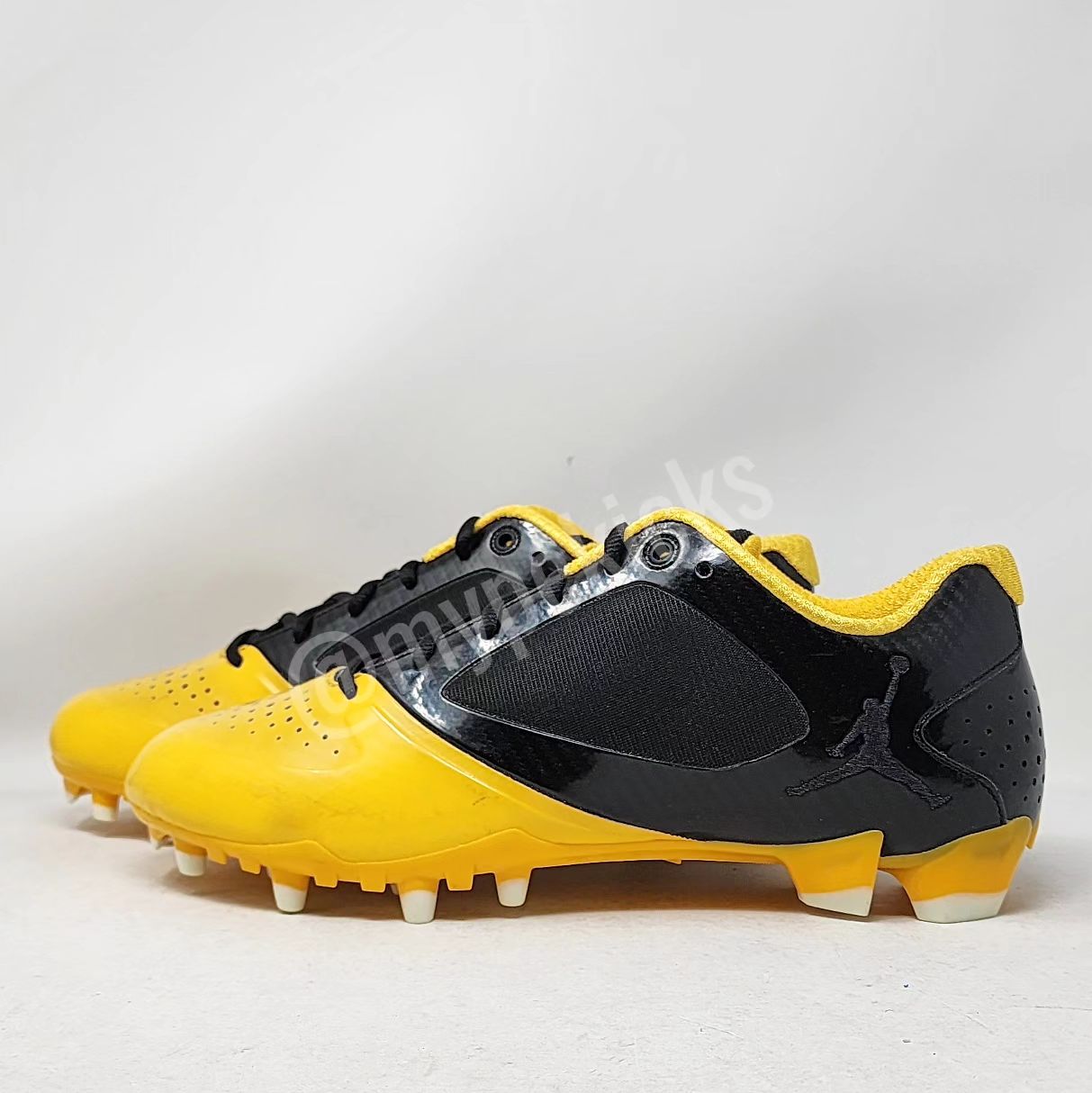 Air Jordan BCT Speed Low - Charles Woodson Green Bay Packers PE