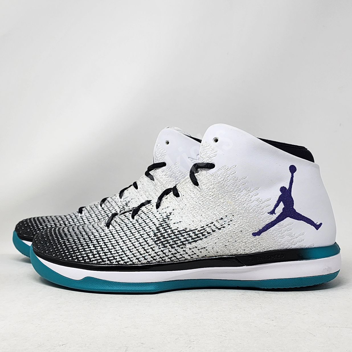Air Jordan 31 - Michael Kidd-Gilchrist Charlotte Hornets PE