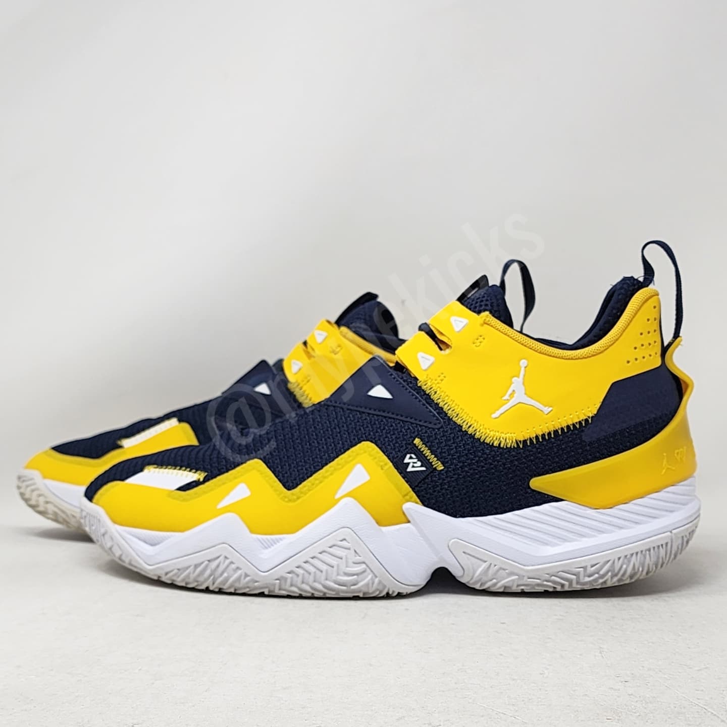 Jordan Westbrook One Take - Michigan Wolverines PE