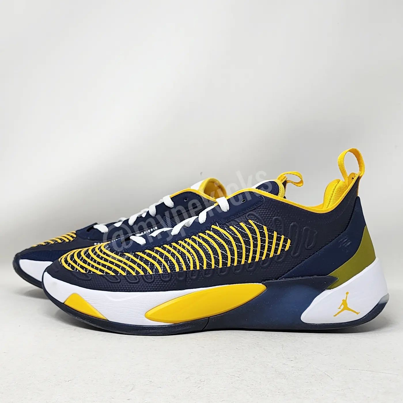 Jordan Luka 1 - Michigan Wolverines PE