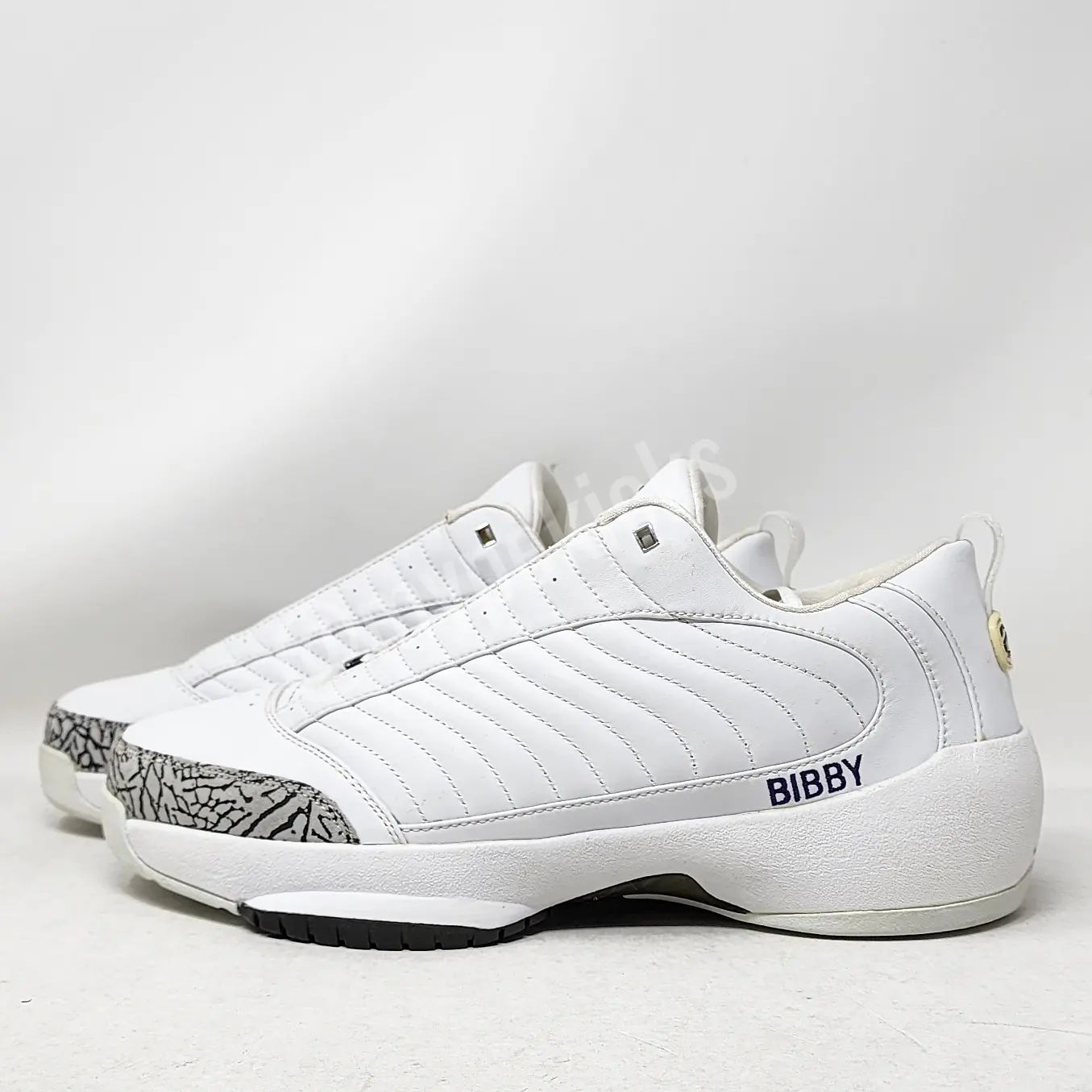 Air Jordan 19 Low - Mike Bibby Sacramento Kings PE