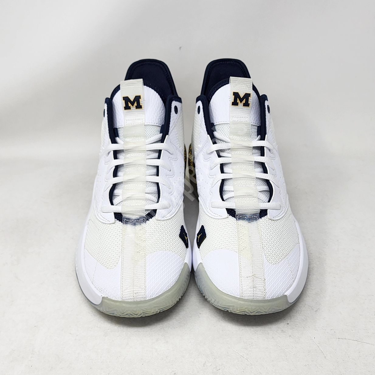 Jordan React Elevation - Michigan Wolverines PE