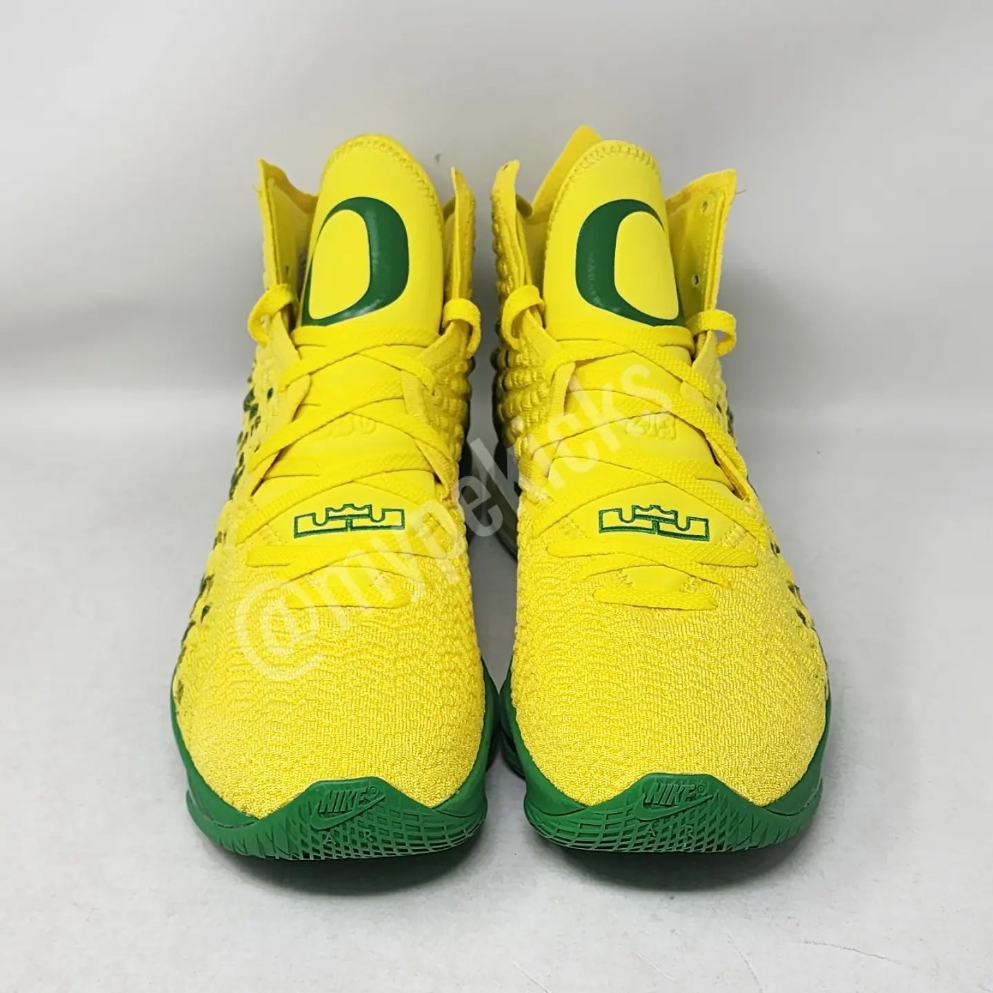Nike LeBron 17 - Oregon Ducks PE