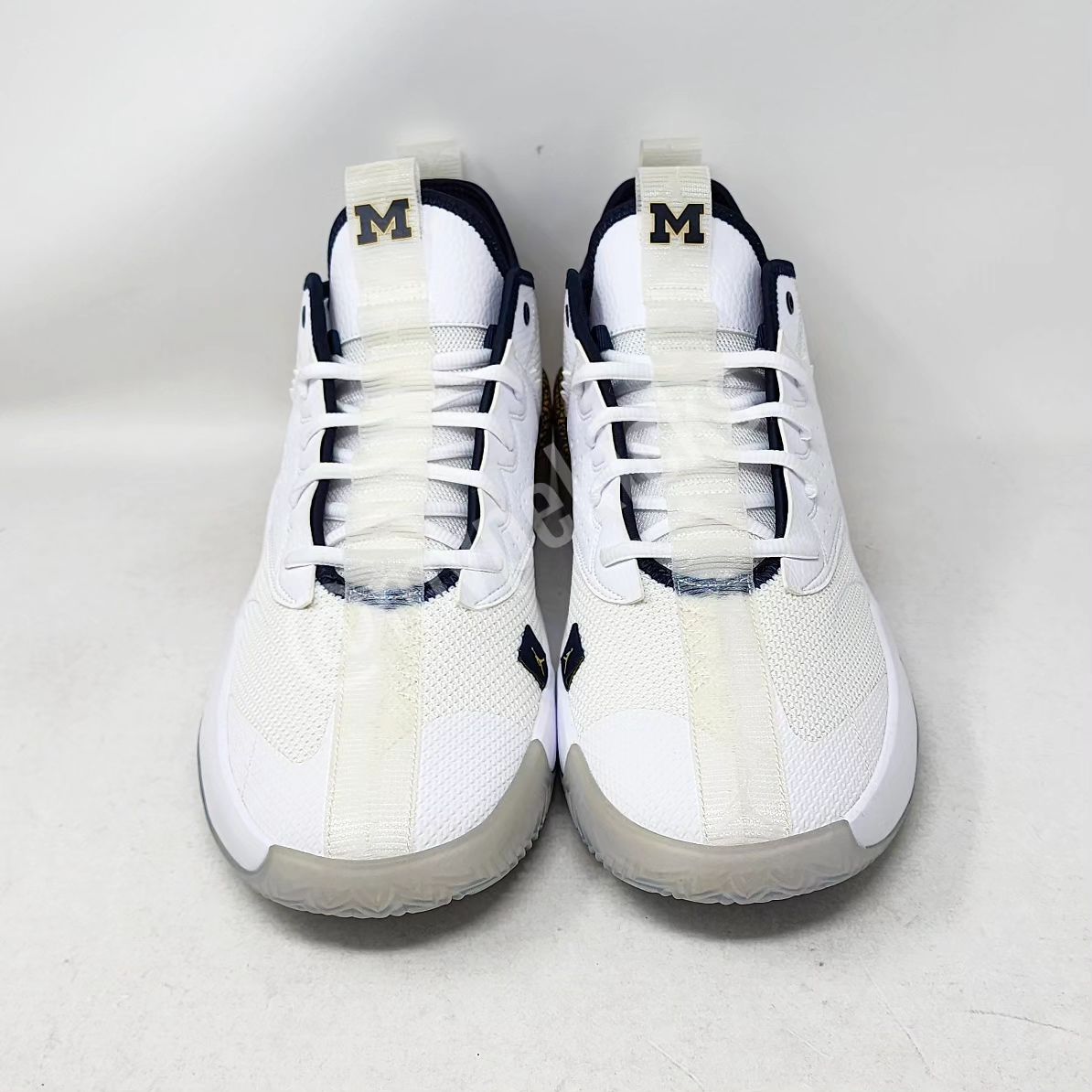 Jordan React Elevation Low - Michigan Wolverines PE