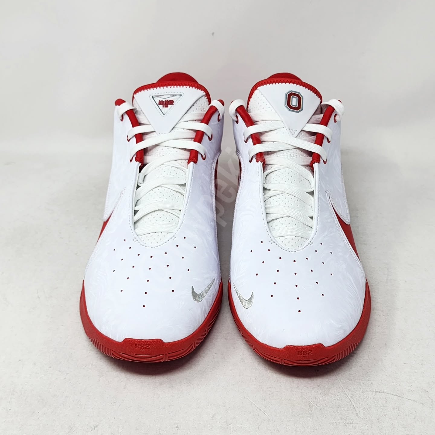 Nike LeBron 22 - OSU Buckeyes PE
