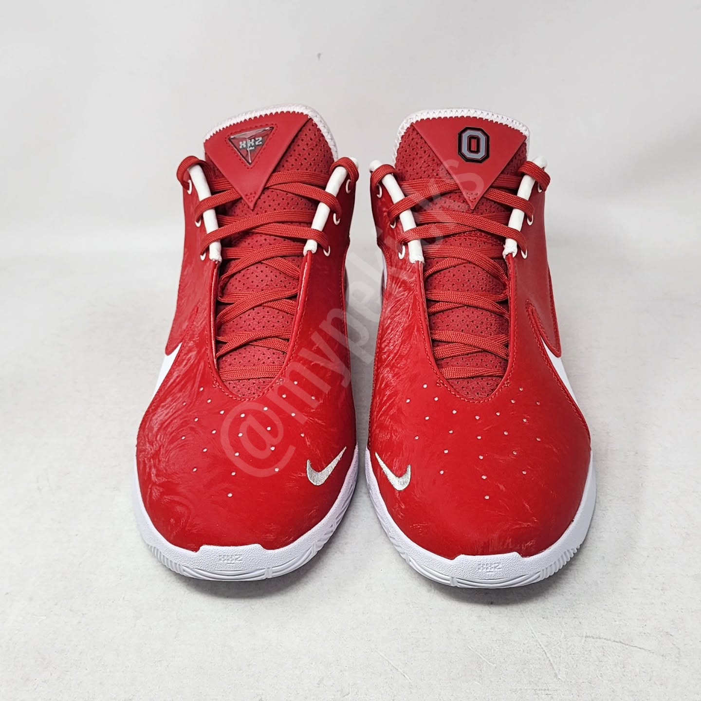 Nike LeBron 22 - OSU Buckeyes PE