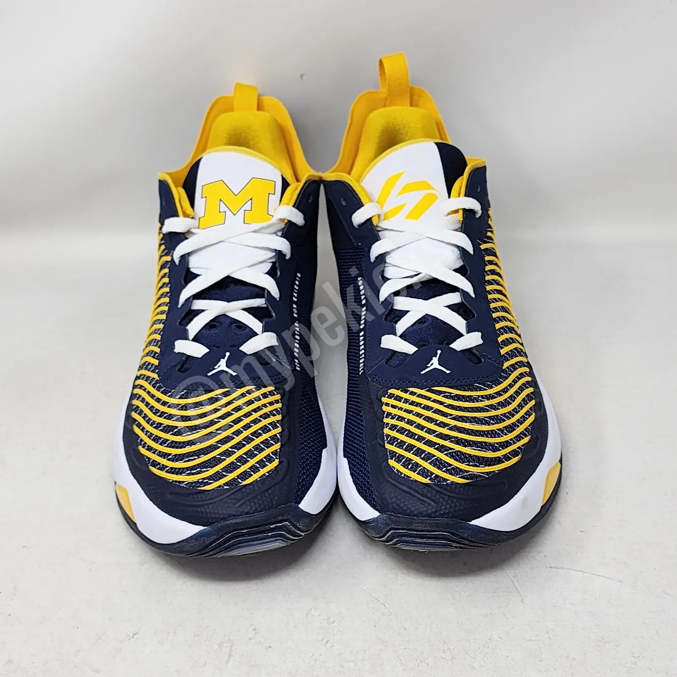 Jordan Luka 1 - Michigan Wolverines PE