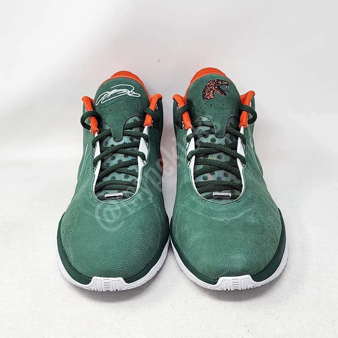 Nike LeBron 21 - FAMU Rattlers PE