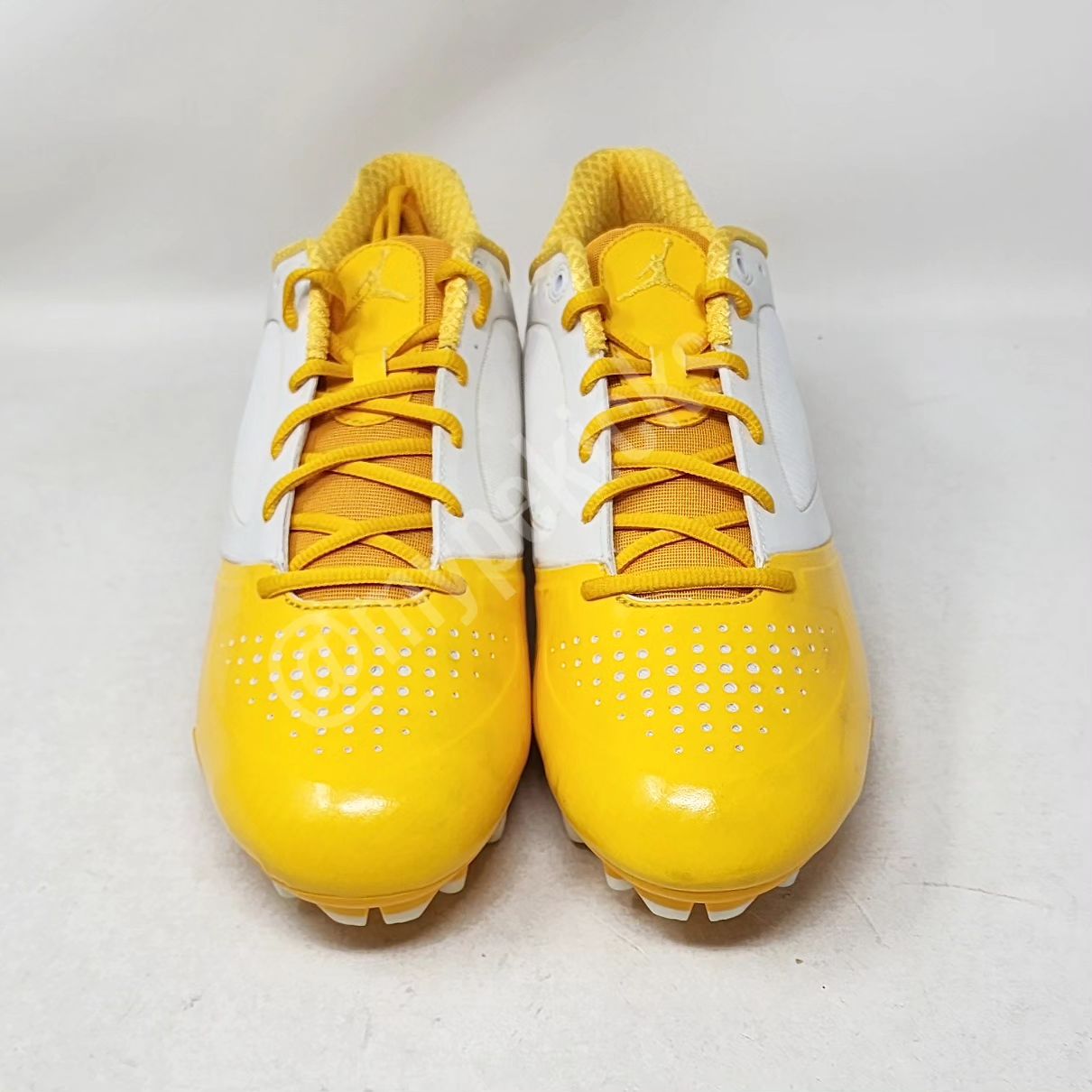 Air Jordan BCT Speed Low - Charles Woodson Green Bay Packers PE