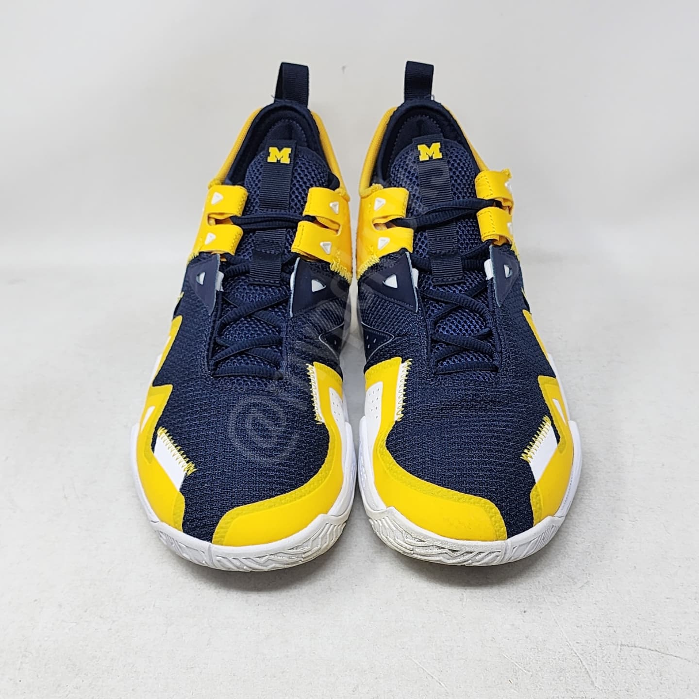 Jordan Westbrook One Take - Michigan Wolverines PE