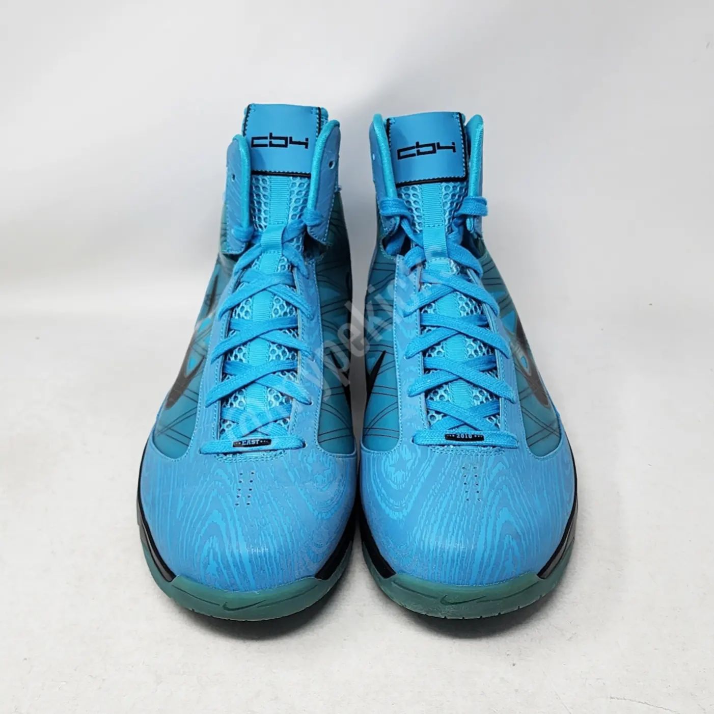 Nike Hyperize - Chris Bosh Toronto Raptors PE