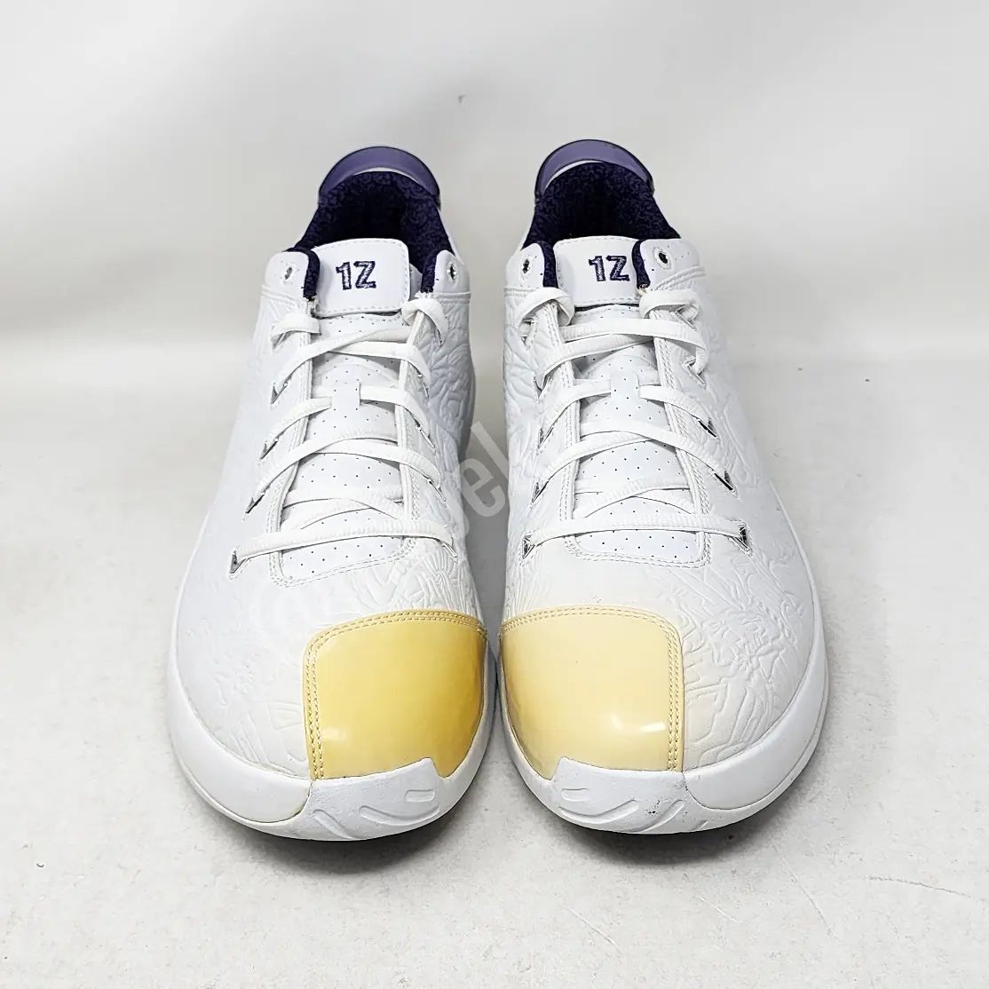 AJ 16 Retro - 康利灰熊队 PE