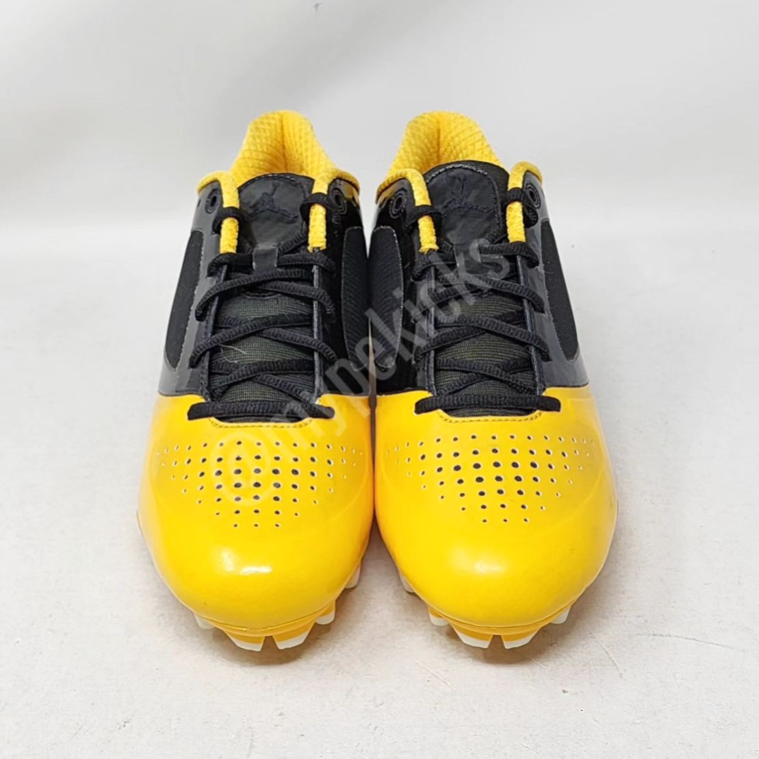 Air Jordan BCT Speed Low - Charles Woodson Green Bay Packers PE