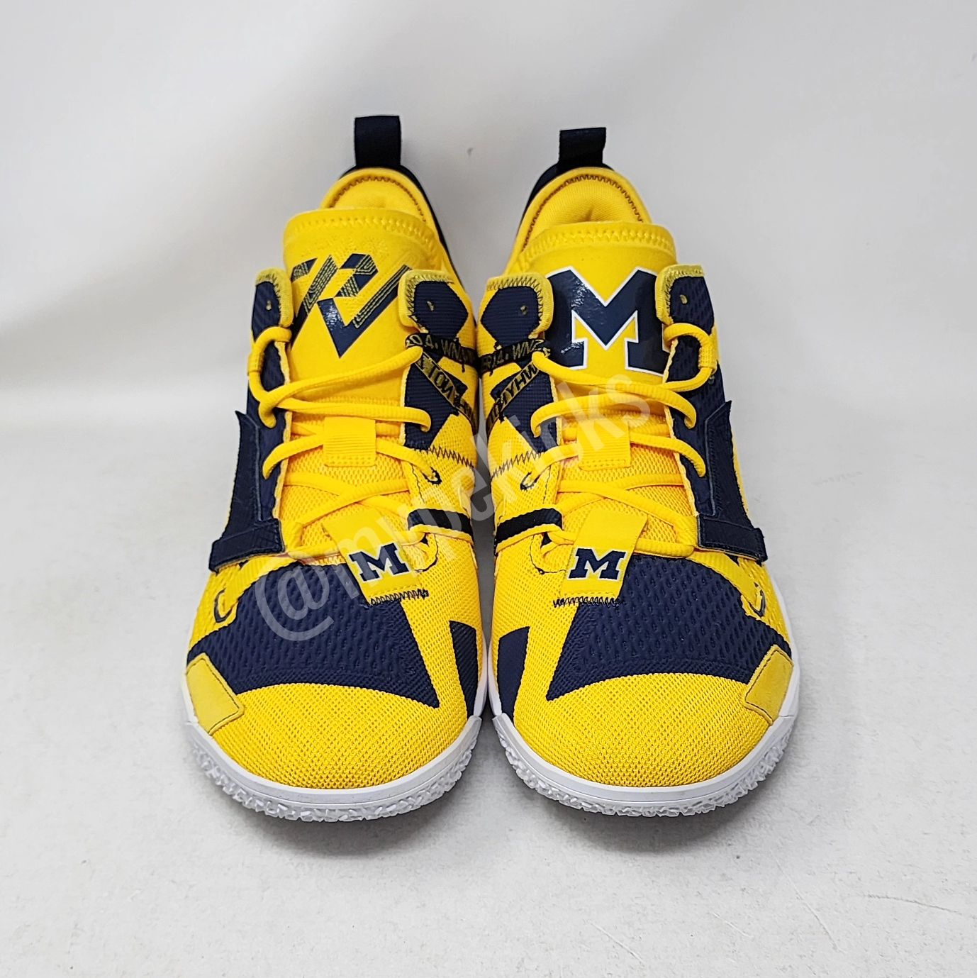 AJ 35 - 黄蜂队 PE