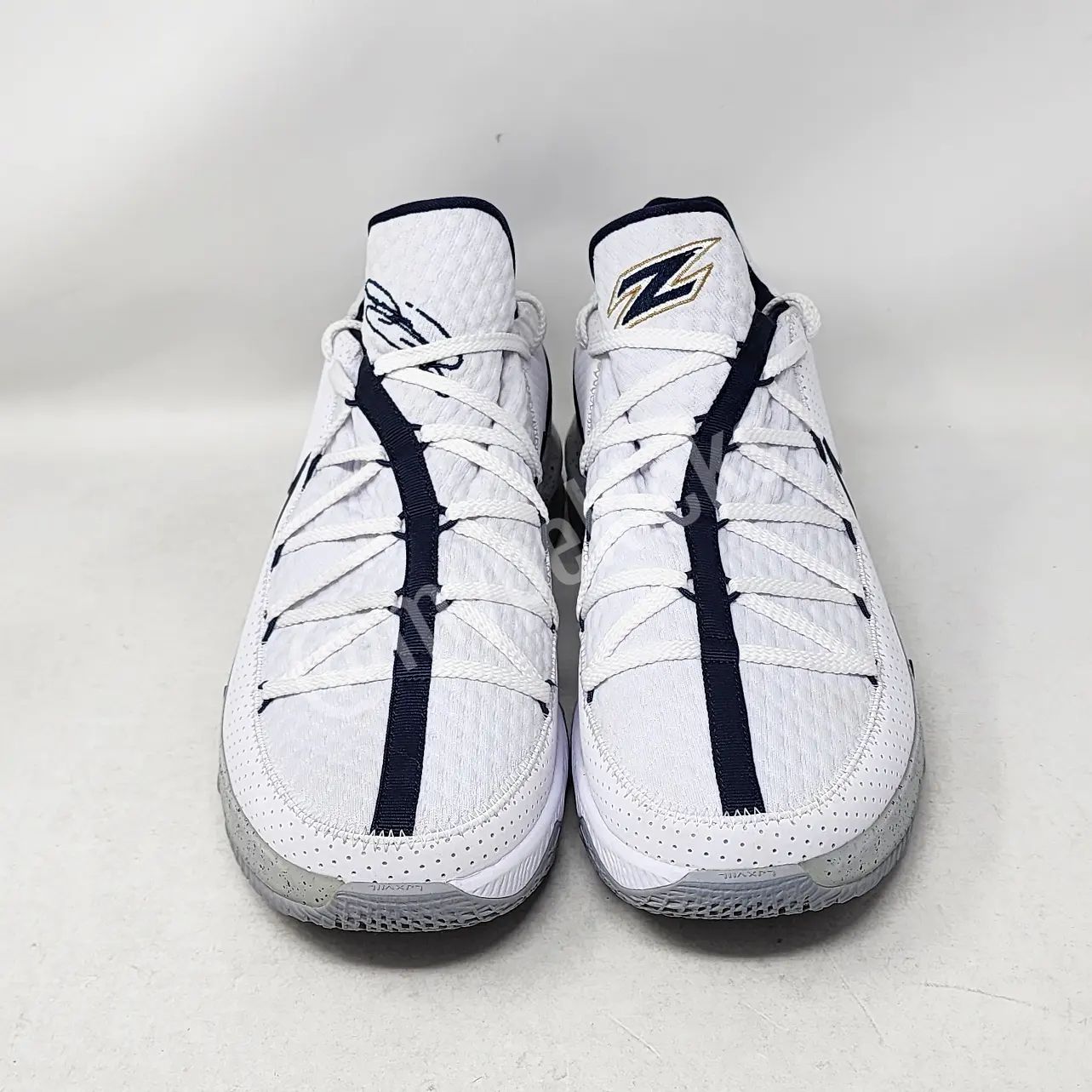 Nike LeBron 17 Low - Akron Zips PE