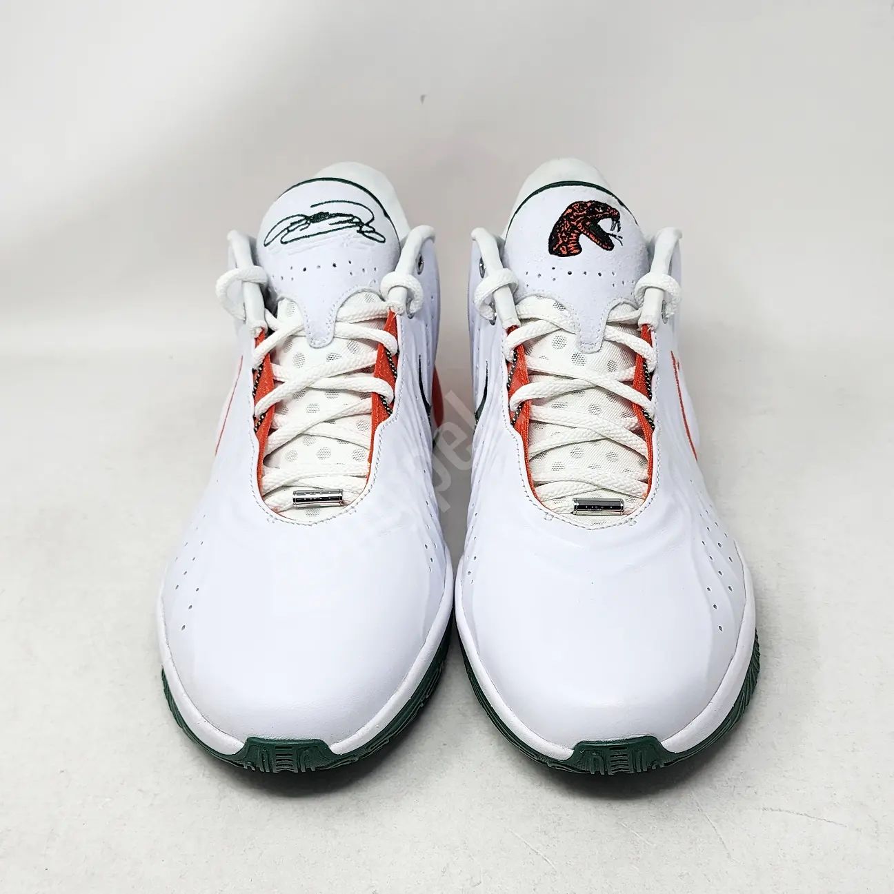 Nike LeBron 21 - FAMU Rattlers PE