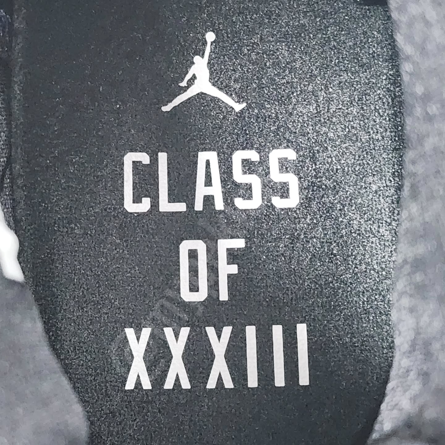 AJ 16 Retro - 康利灰熊队 PE
