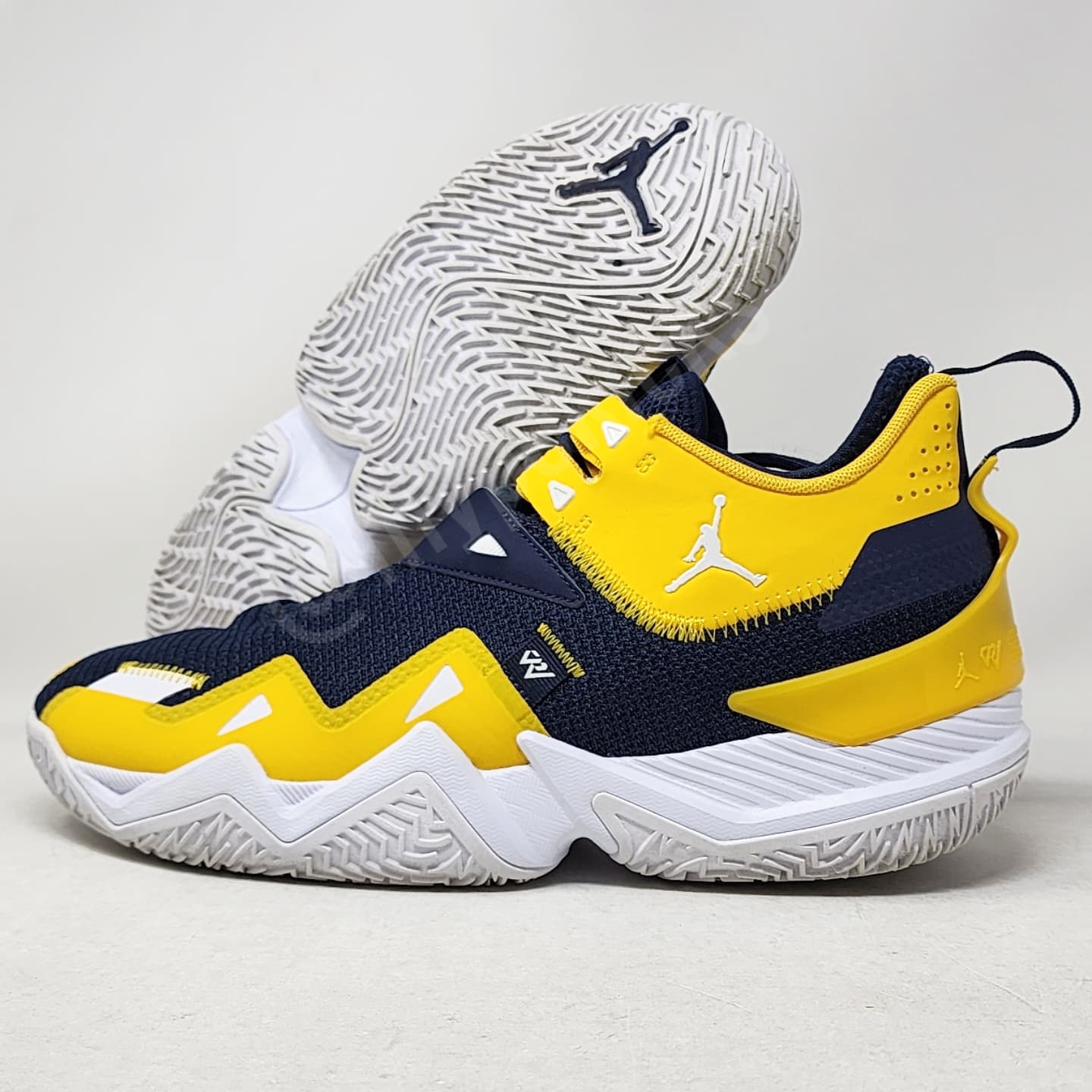 Jordan Westbrook One Take - Michigan Wolverines PE