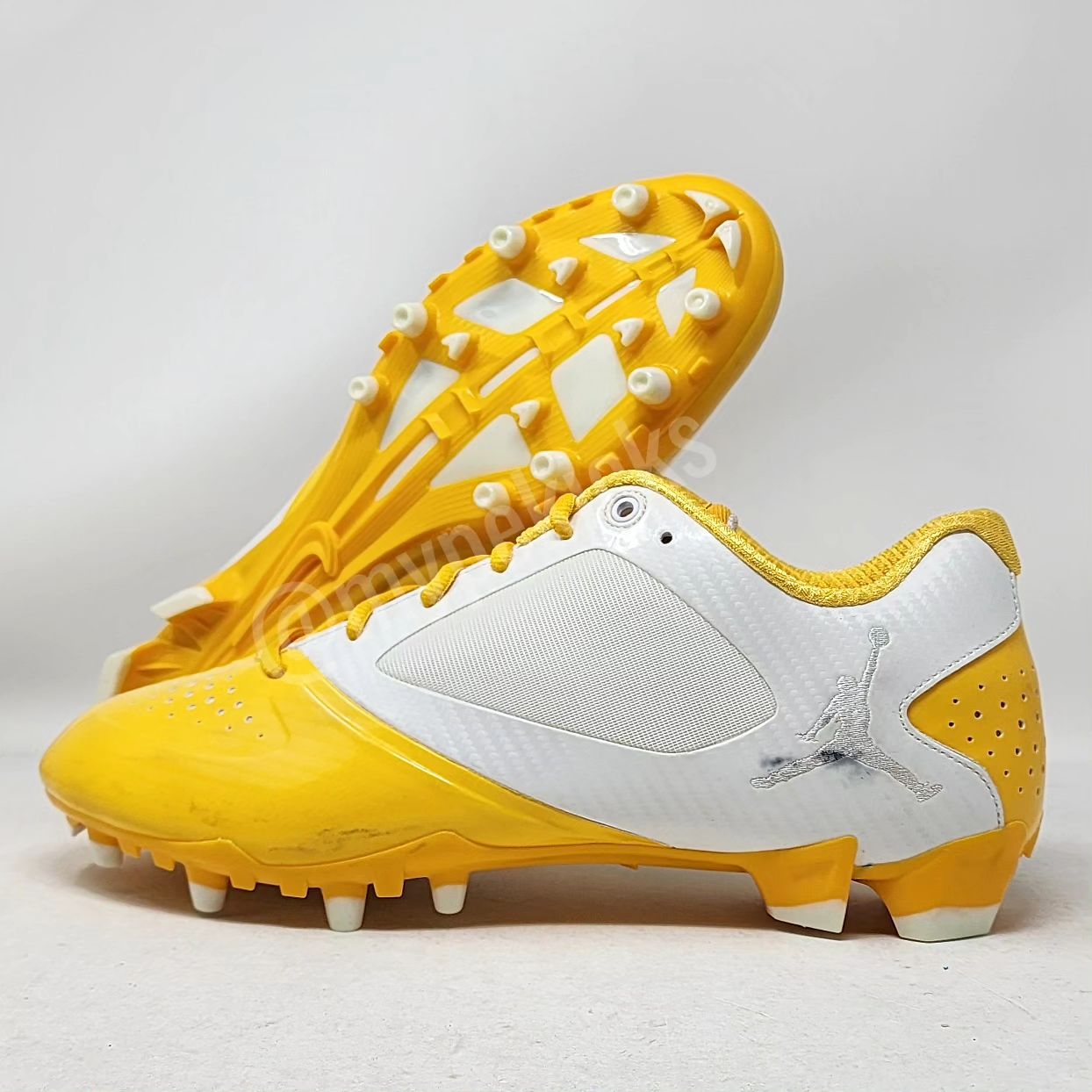 Air Jordan BCT Speed Low - Charles Woodson Green Bay Packers PE