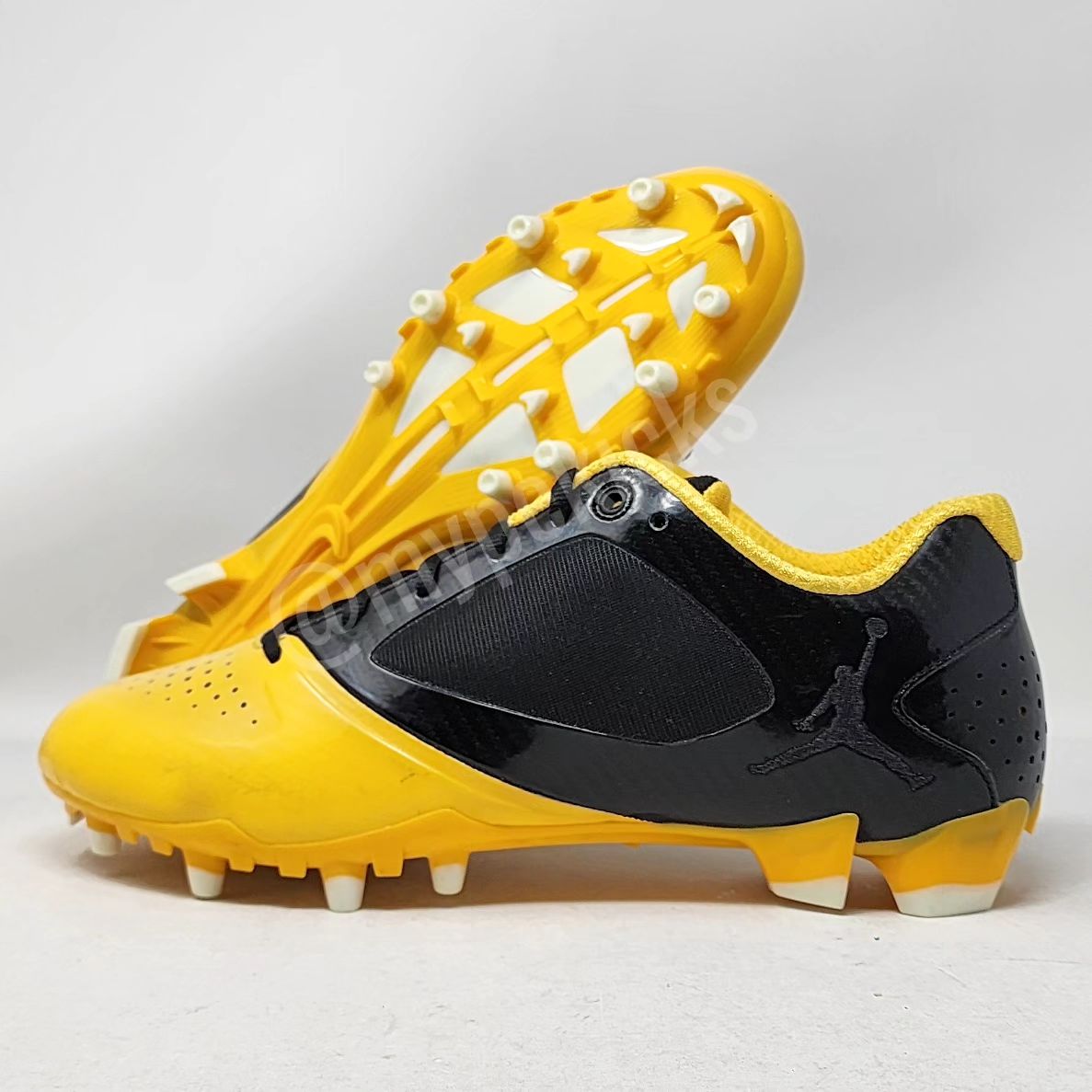 Air Jordan BCT Speed Low - Charles Woodson Green Bay Packers PE