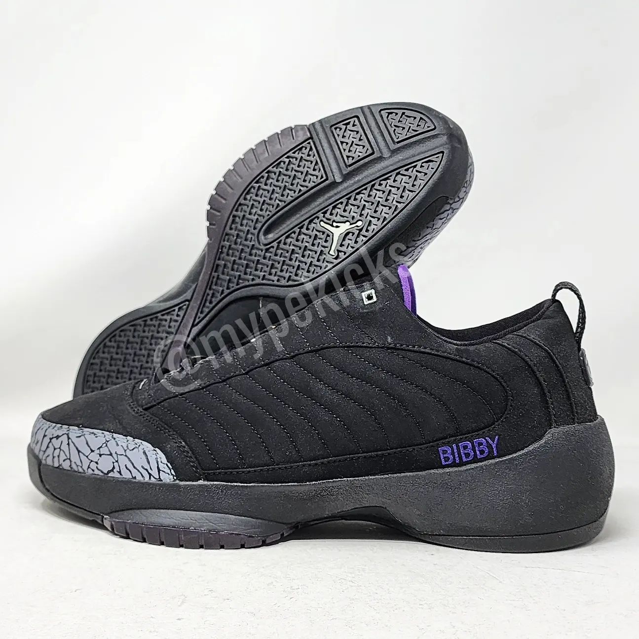 Air Jordan 19 Low - Mike Bibby Sacramento Kings PE