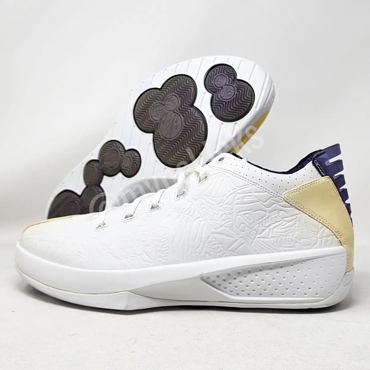 AJ 16 Retro - 康利灰熊队 PE