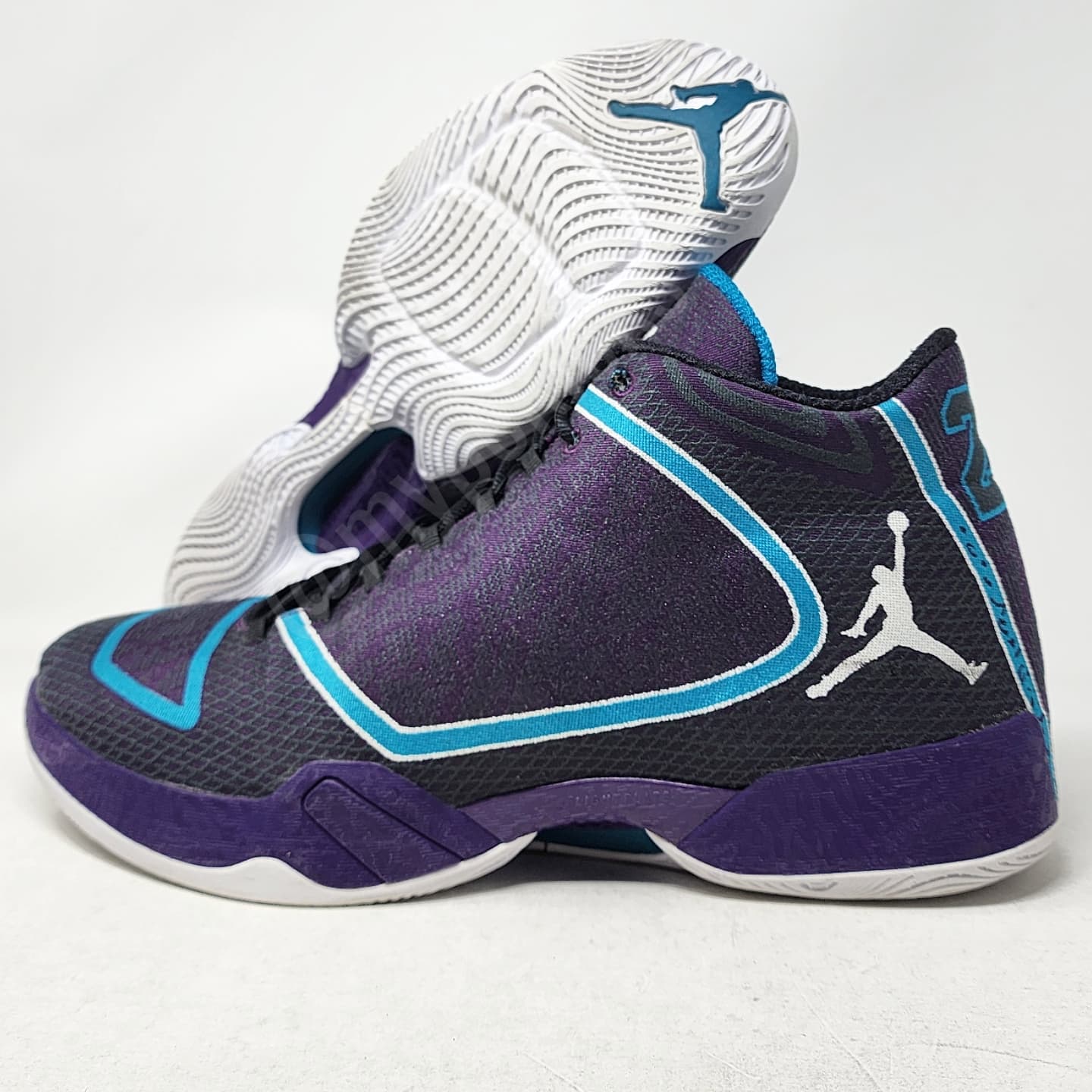Air Jordan 29 - Bismack Biyombo Charlotte Hornets PE