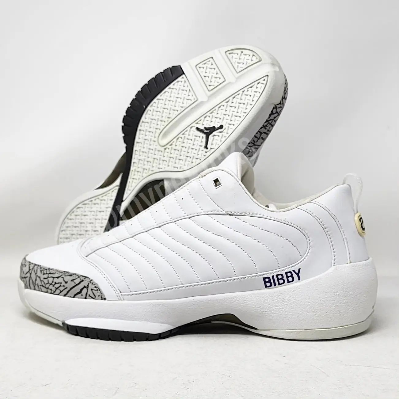 Air Jordan 19 Low - Mike Bibby Sacramento Kings PE
