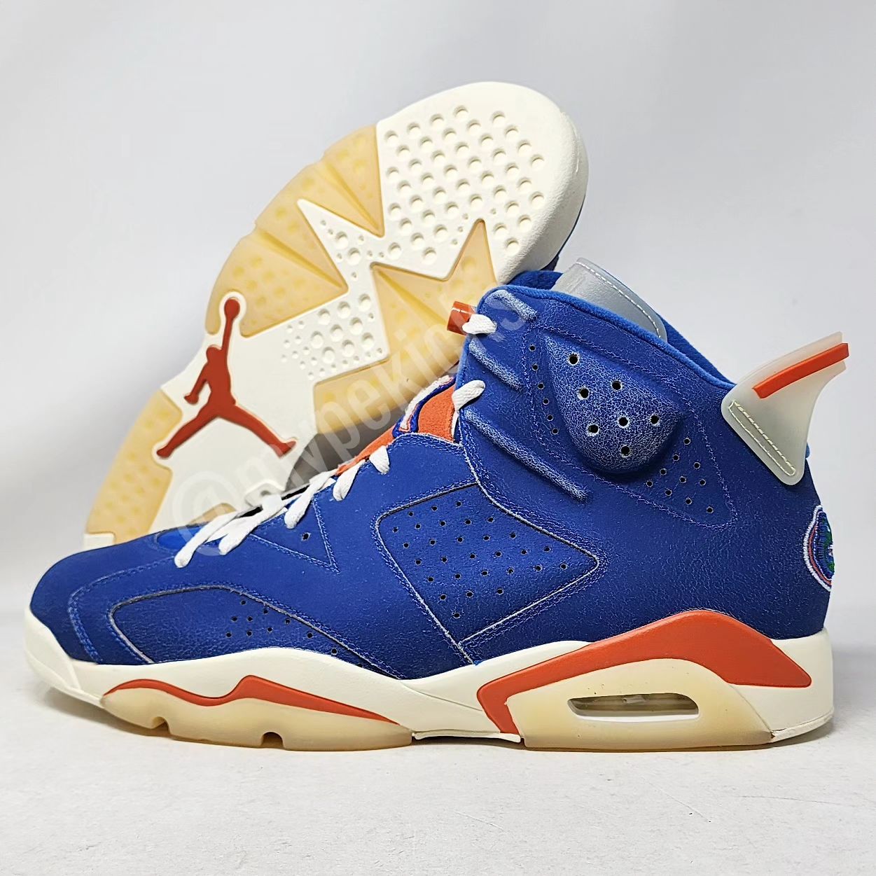 Air Jordan 06 Retro - Florida Gators PE