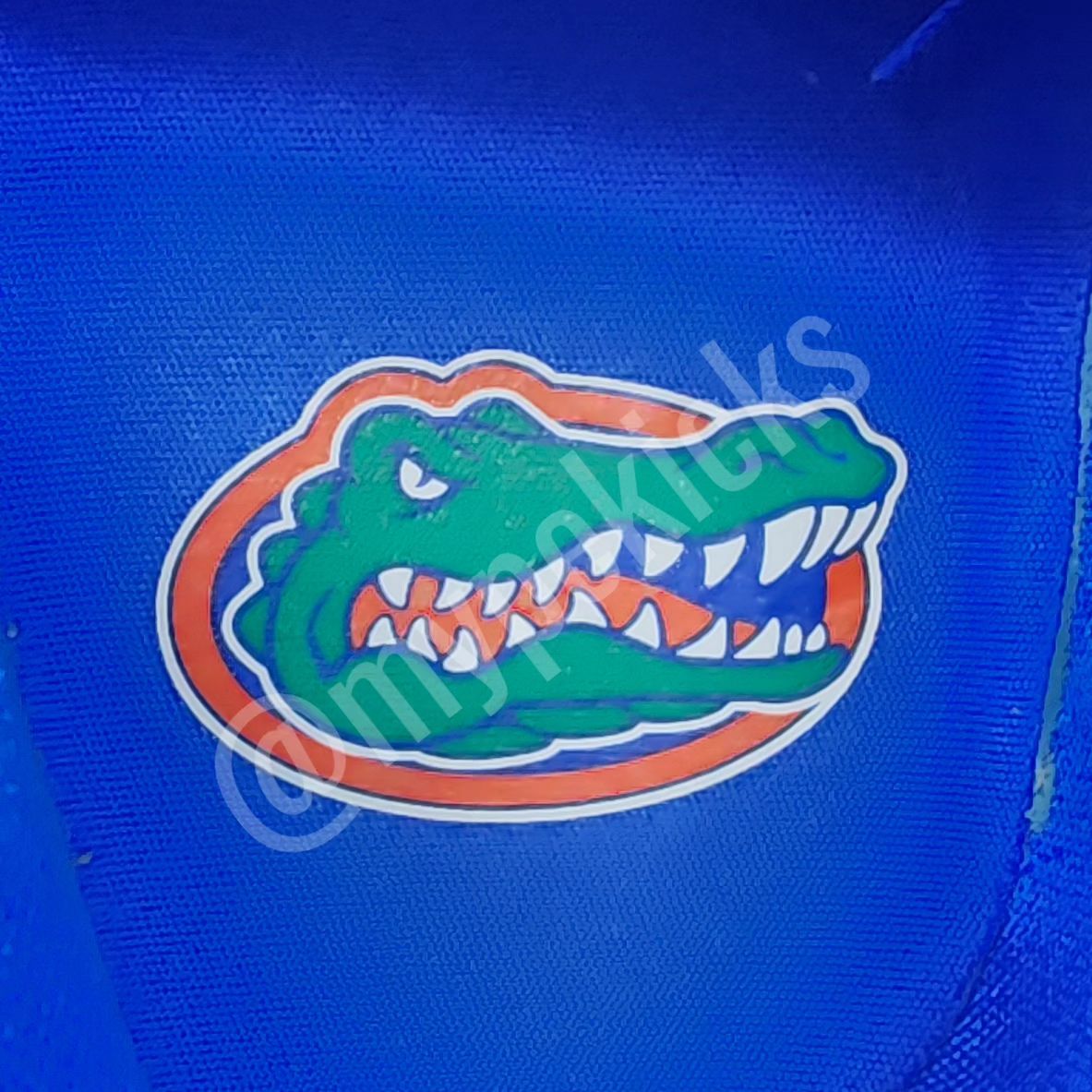 Jordan Luka 1 - Florida Gators PE